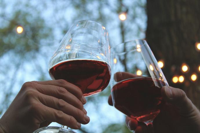 person holding clear wine glass with red wine