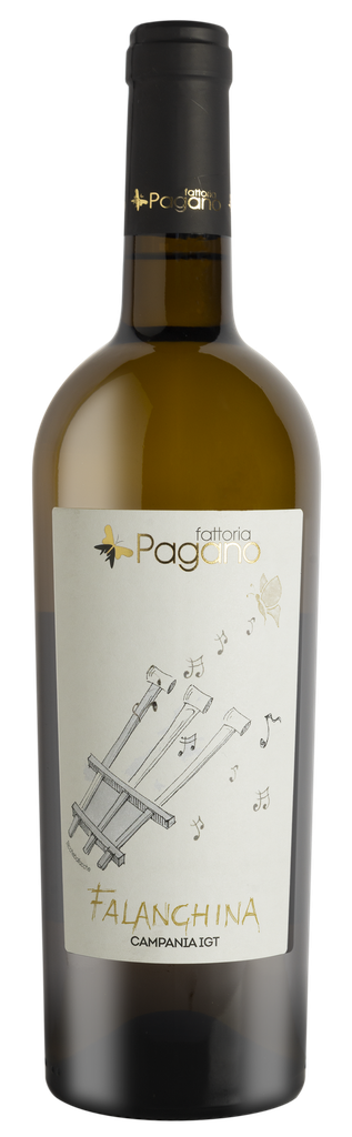 Falanghina Campania IGT “Fattorie Pagano” (75cl)