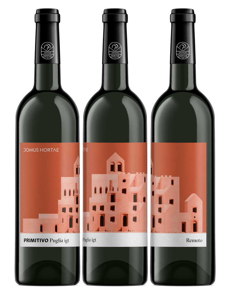 ReMoto - Primitivo IGT Puglia 2021