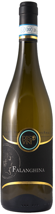 Falanghina del Sannio 2024 - DOC White