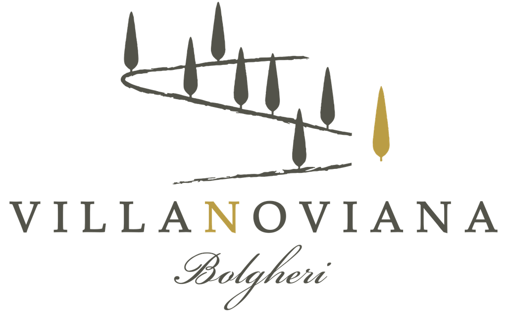 Bolgheri Vermentino Teia 24