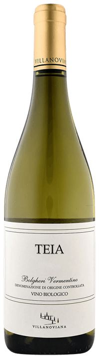 Bolgheri Vermentino Teia 24