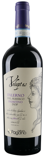 [100356] Falerno del Massico primitivo DOP “Voluptas” (75cl)