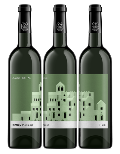 [VN10011] TI ESTI - Fiano Minutolo IGT Puglia 2023