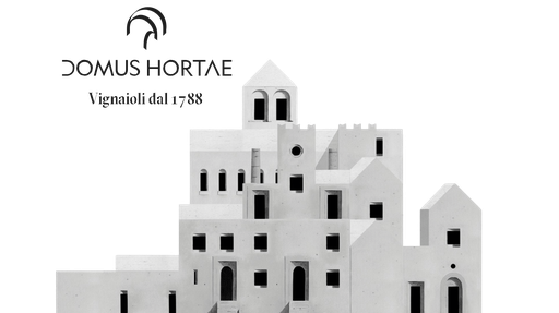 [VN10017] MENTORE - Susumaniello IGT Puglia 2023