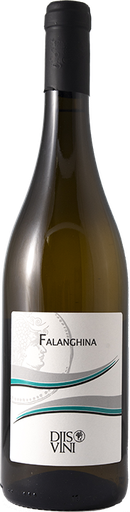 [VN10037] Campania Falanghina 2024 - IGP White