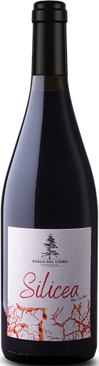 [VN10129] Silicea Roma Rosso 24