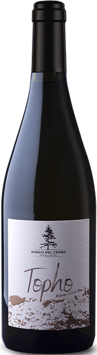 [VN10130] Topho Roma Malvasia Puntinata 24