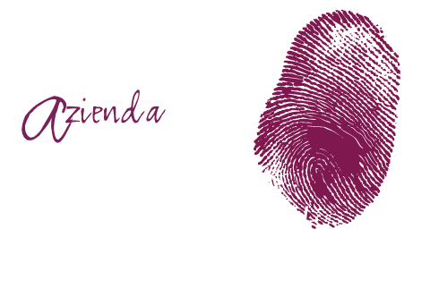 [VN10142] Bolgheri Rosato 24