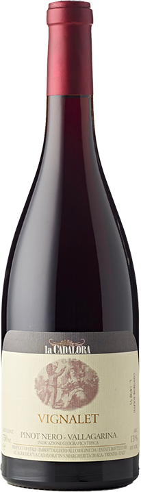 Pinot Nero Vignalet Vallagarina 22
