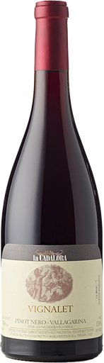 [VN10152] Pinot Nero Vignalet Vallagarina 22