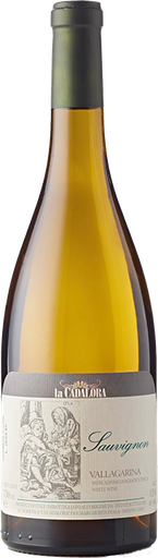 [VN10154] Sauvignon 24