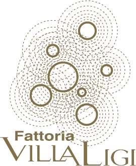 [VN10172] Vernaculum 25