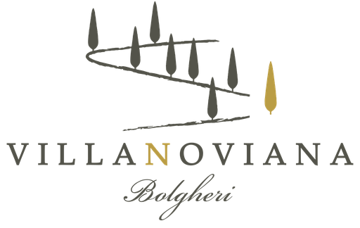 [VN10175] Bolgheri Superiore Sant'Uberto 21